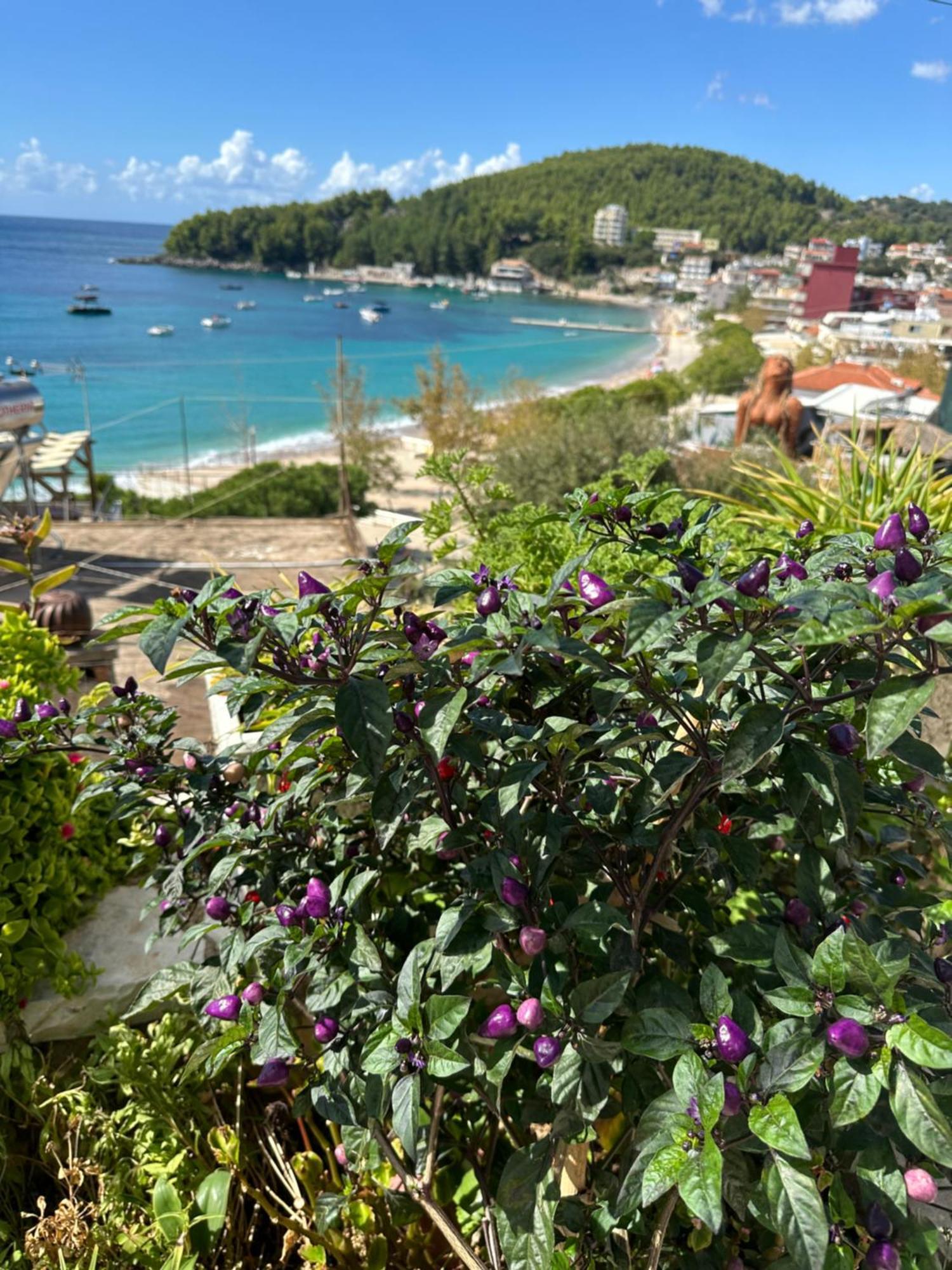 Fane'S Apartments Himara Kültér fotó